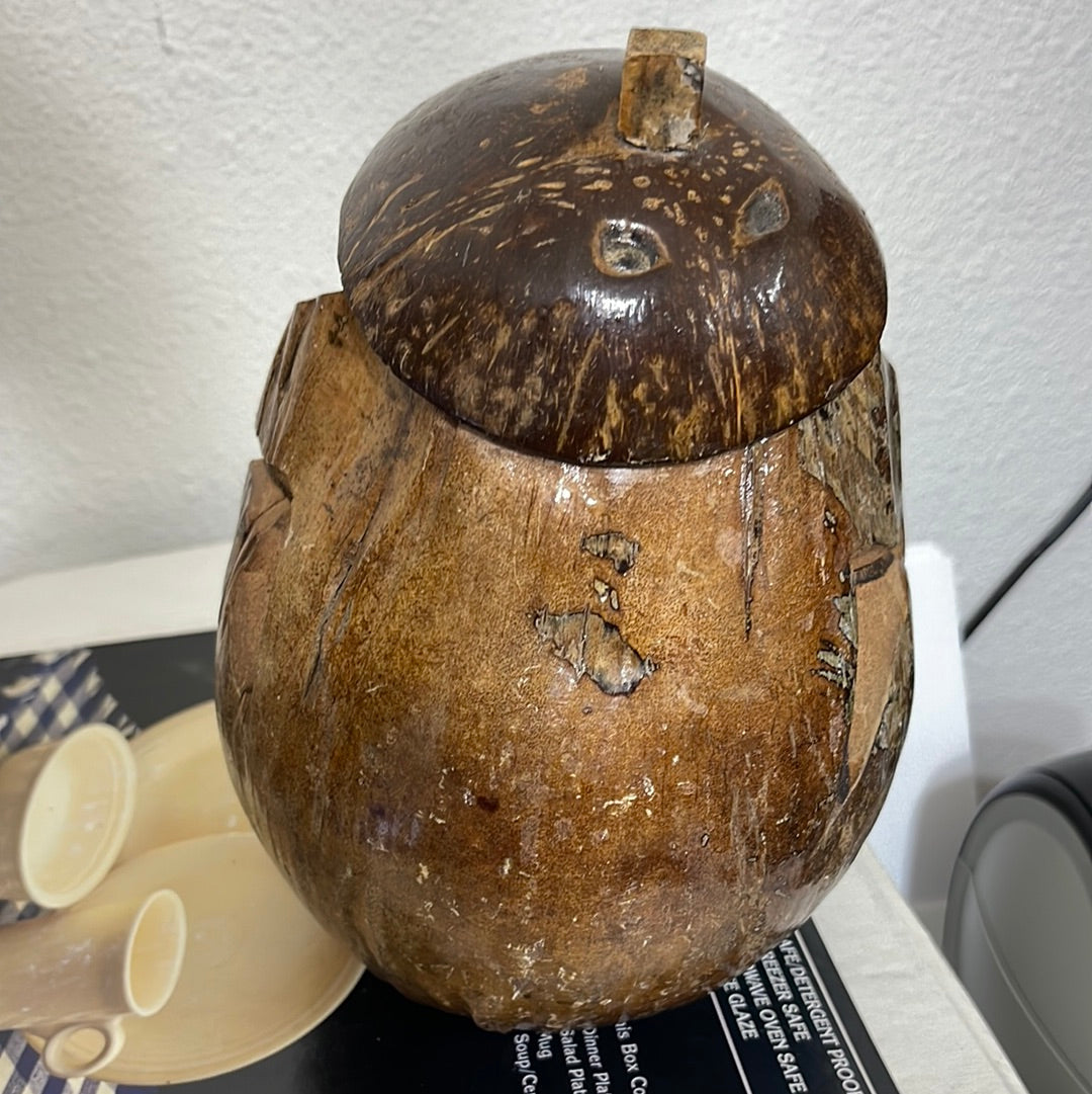 Coconut monkey