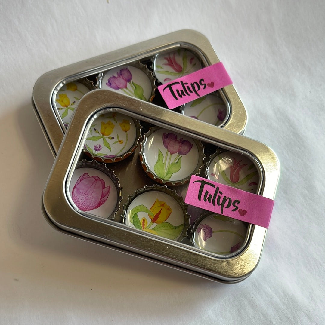 Kate’s magnets