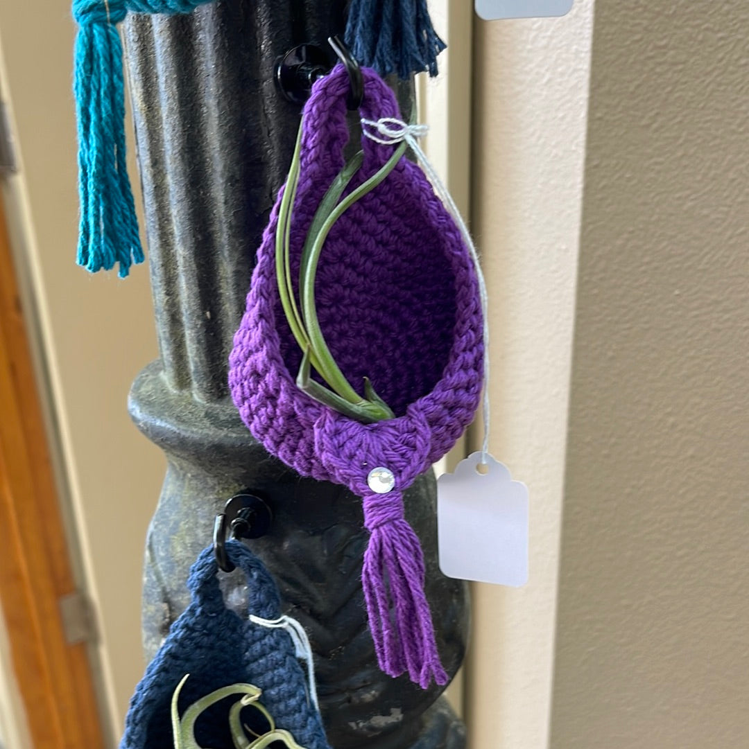 Air plant hanging baskets