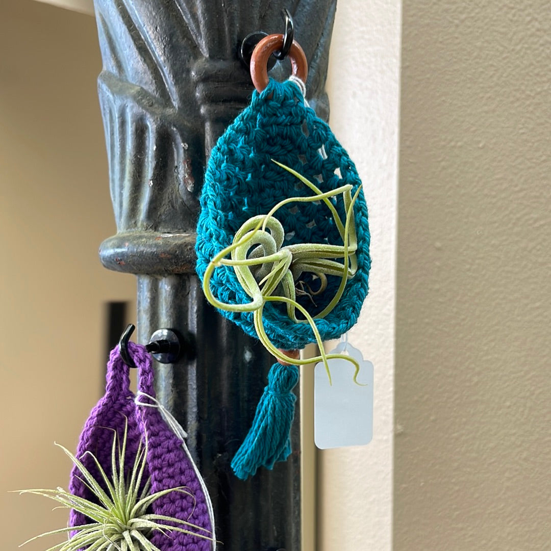 Air plant hanging baskets