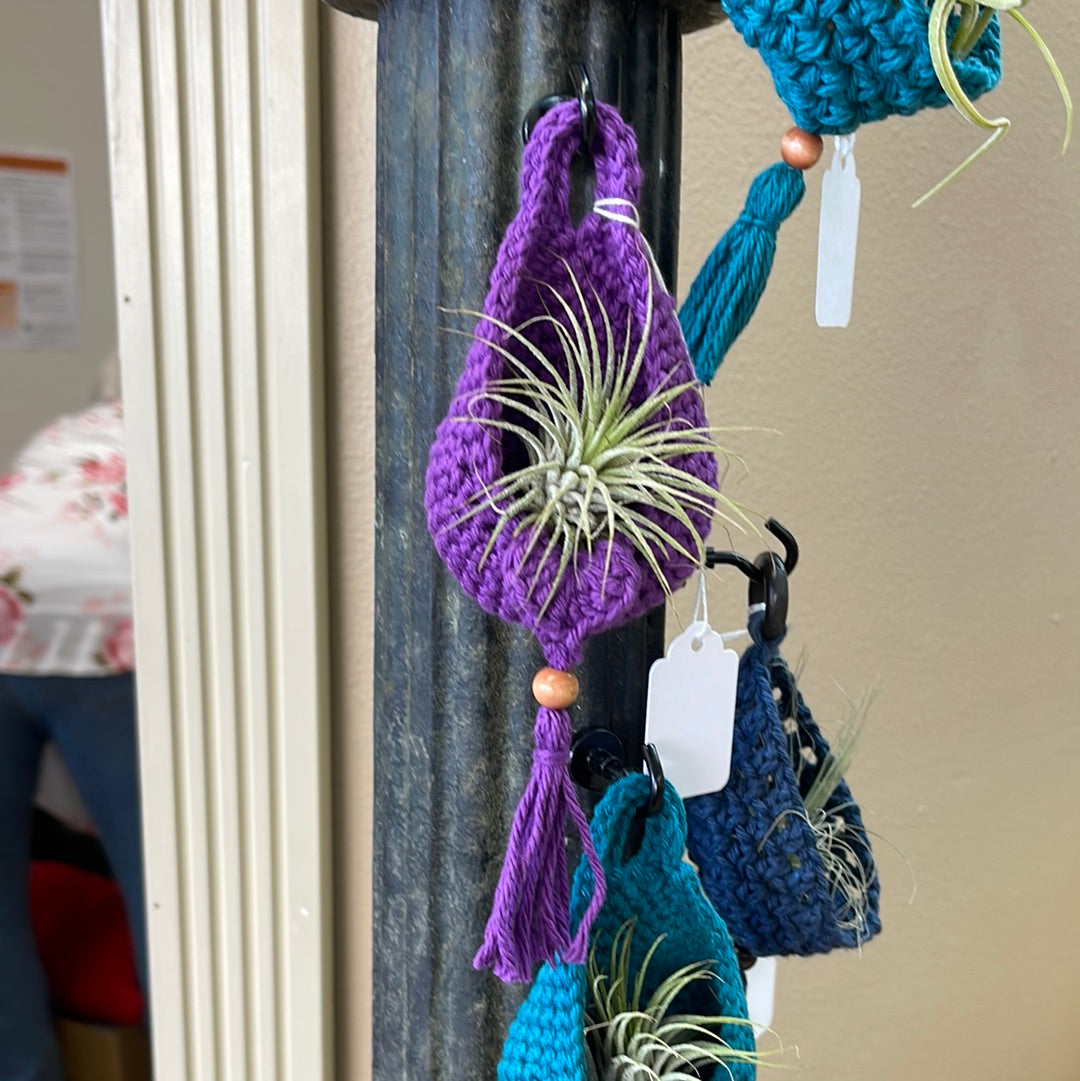 Air plant hanging baskets