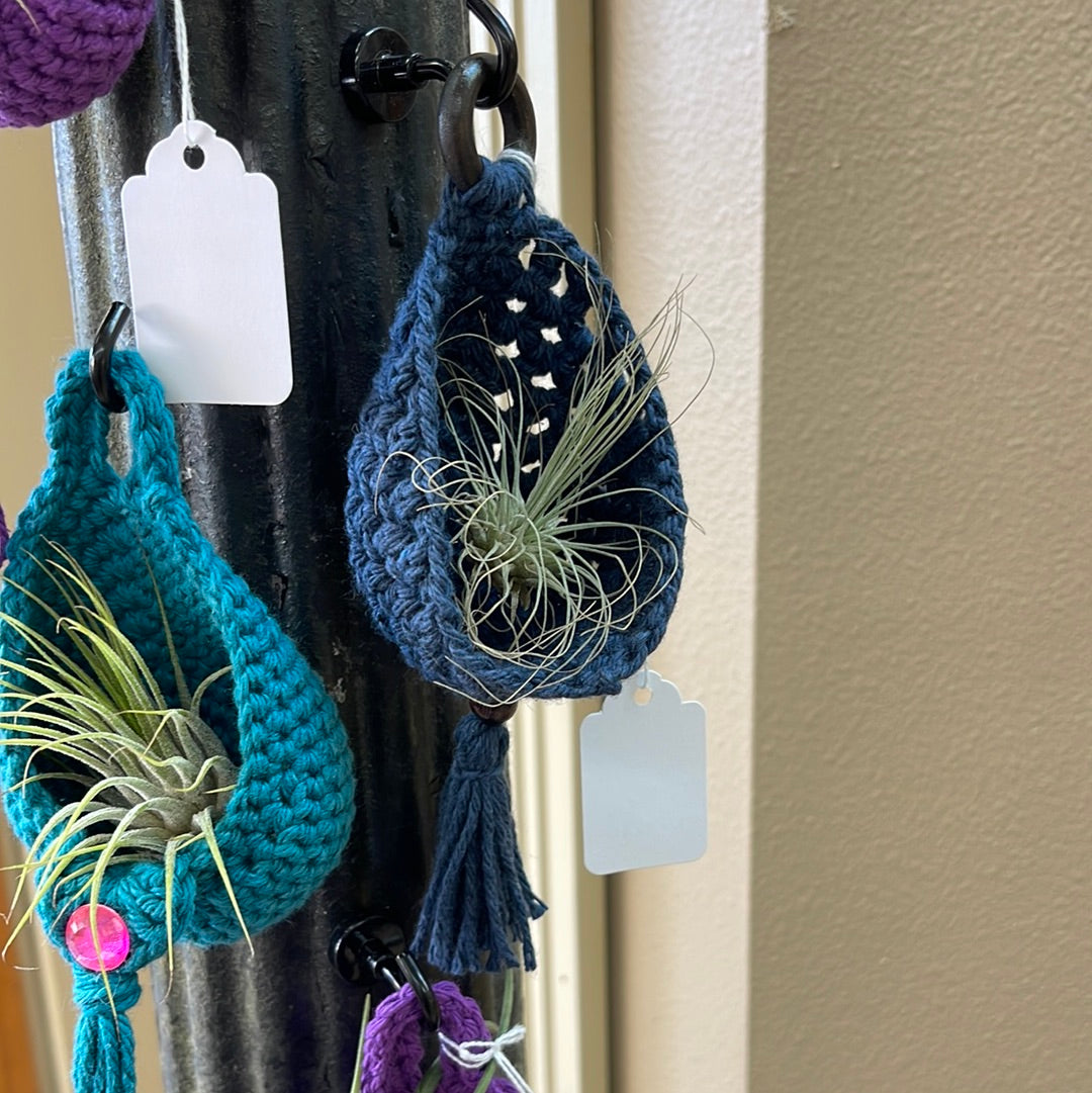 Air plant hanging baskets