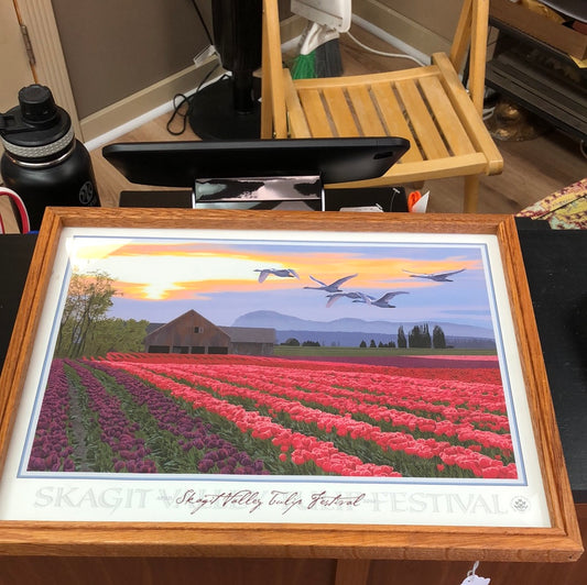 Skagit Valley Tulip Festival Print