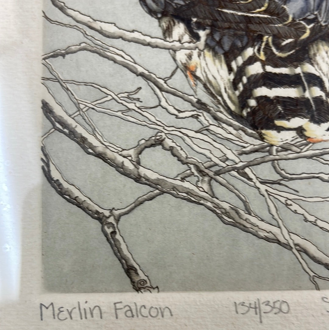 Hand pulled intaglio print “Merlin Falcon” signed by SueEllen Ross, edition 134/350