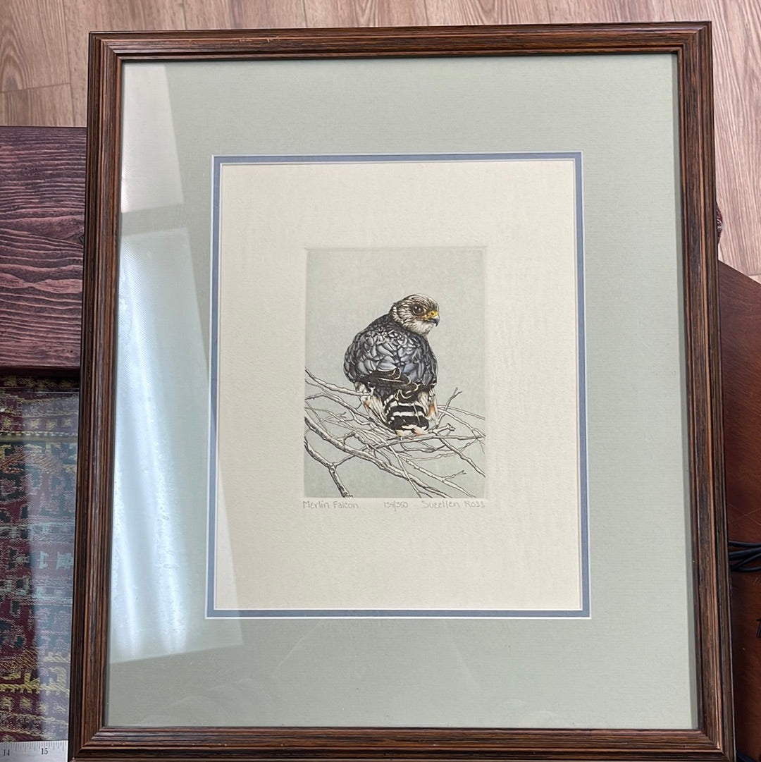 Hand pulled intaglio print “Merlin Falcon” signed by SueEllen Ross, edition 134/350