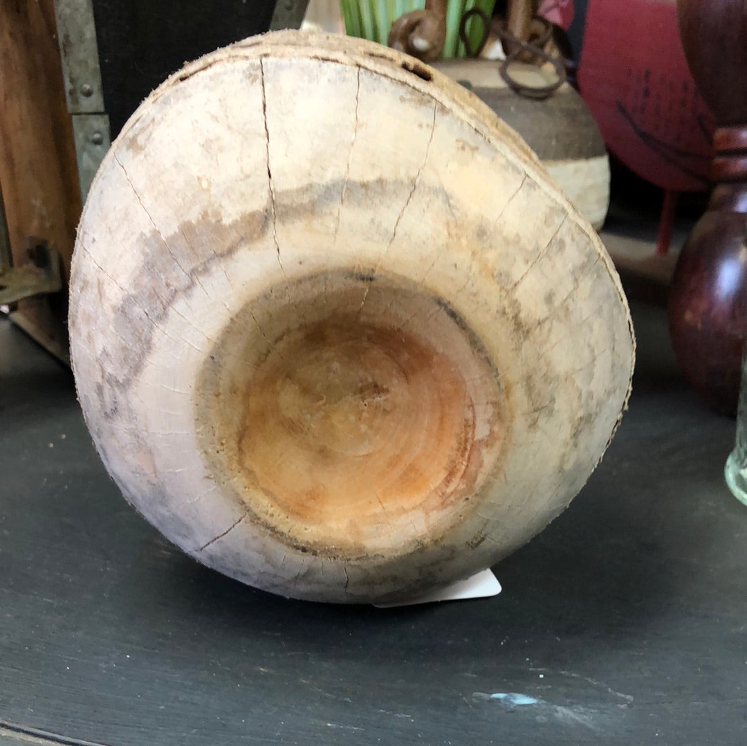 Wooden Apple