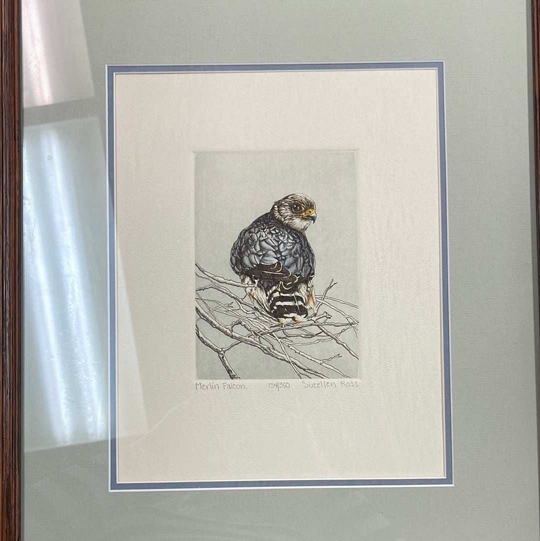 Hand pulled intaglio print “Merlin Falcon” signed by SueEllen Ross, edition 134/350