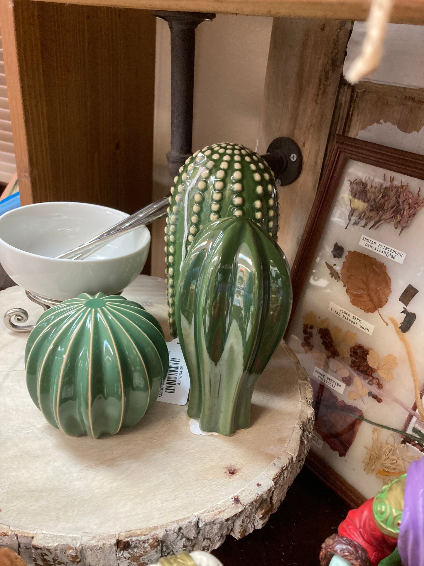 Ceramic cactus set of 3 ikea
