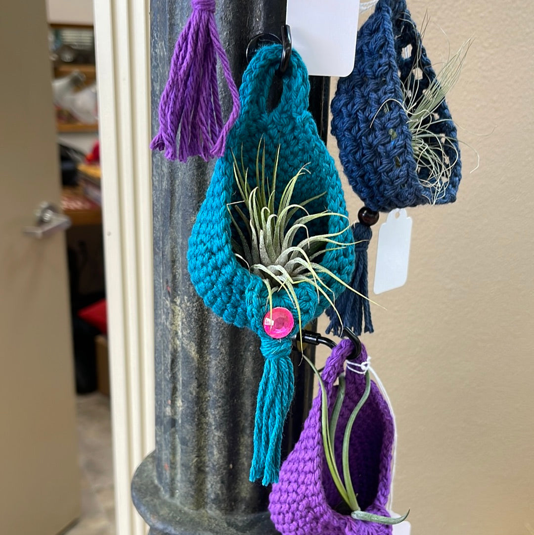 Air plant hanging baskets